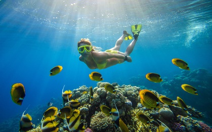 Cebu – “Thiên đường” tuyệt đẹp khiến bạn phải xách ba lô lên và đi