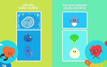 Bạn đã biết cách chọn tủ lạnh tiết kiệm điện chưa?