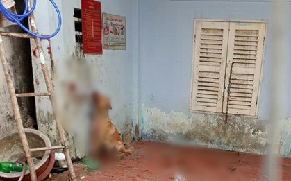Giận hờn, nam thanh niên ở Sài Gòn tra tấn dã man chú chó của bạn để trả thù