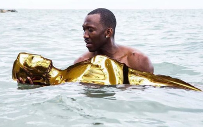 Bắt chước Oscar 2017, rạp phim ở Anh "vô tình" chiếu "La La Land" thay vì "Moonlight"