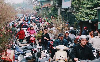 Khổ như người Hà Nội "hành xác" ở chợ hoa vừa đông, vừa tắc cả tiếng đồng hồ
