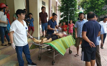 Hà Tĩnh: Cán bộ thú y bị trâu húc tử vong khi đến chuồng tiêm thuốc bổ
