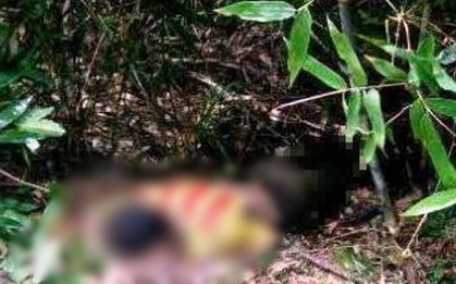 Phát hiện thi thể nam thanh niên nằm sấp trong bụi cây, nghi ăn lá ngón tự tử
