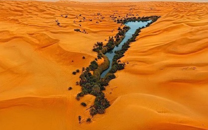 Ai mà ngờ được giữa sa mạc Sahara khô cằn lại có một nơi tràn ngập cây xanh bóng mát như thế này