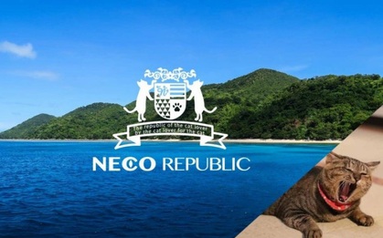 Nhật Bản: Tổ chức bảo vệ động vật muốn mua cả một hòn đảo làm vương quốc cho loài mèo