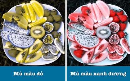 Xem những người mù màu nhìn nhận thế giới xung quanh như thế nào