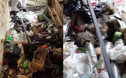 Quản lý tòa nhà phát hoảng khi mở cửa và nhìn thấy cảnh tượng kinh hoàng bên trong căn hộ ở Manhattan