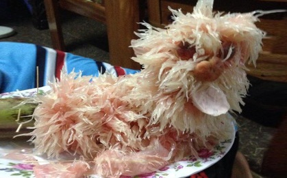 Cười hết hồn trước dung nhan của 13 chú chó bưởi xấu một cách xuất sắc