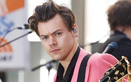 Quỳ xuống sân khấu biểu diễn, Harry Styles bị fan hàng đầu quấy rối tình dục