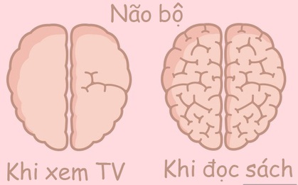 Hóa ra hoạt động thường ngày cũng khiến não bộ "phình ra xẹp nhỏ" lại như thế này!