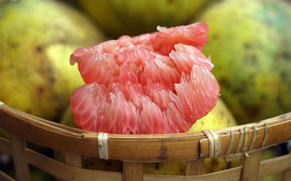 Đừng bỏ lỡ loại quả mùa thu giúp bạn "đẹp từ trong ra ngoài"
