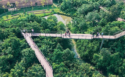 Đến Bangkok, đừng quên ghé khu rừng "thần tiên" được xây từ... bãi rác của người Thái