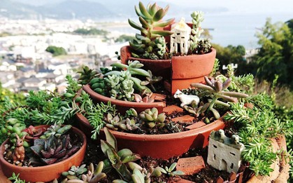 17 khu vườn tí hon được làm từ những chậu hoa vỡ