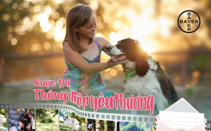 Chia sẻ tình yêu của bạn với cún cưng hôm nay – Nhận quà liền tay