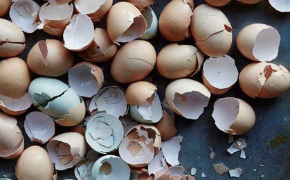 Biết tận dụng những thứ này thì chẳng tốn nhiều tiền mua nước rửa chén nữa!