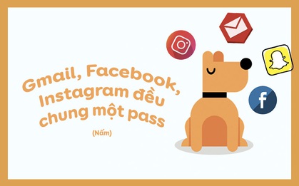 Hội "não cá vàng" đau khổ: tốn nửa cuộc đời chỉ để tìm kính, thẻ xe, chìa khóa
