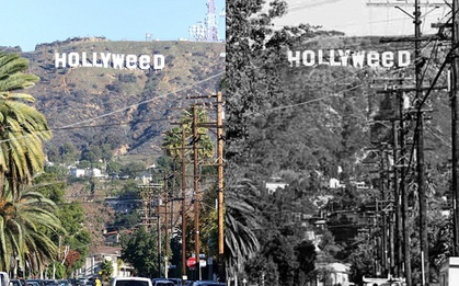 Hóa ra, trò phá hoại biến Hollywood thành "Hollyweed" cũng đã từng xuất hiện từ 41 năm trước!