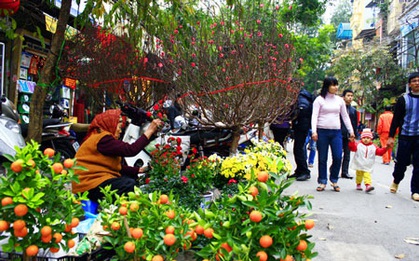 2 ngày giáp Tết Đinh Dậu: Miền Bắc trời rét về đêm và sáng sớm, miền Trung mưa rải rác