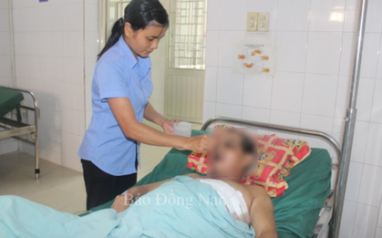 Trâu xổng khỏi lò mổ lao vào Trung tâm bảo trợ Đồng Nai