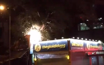 Cây cổ thụ bật gốc đổ sập 2 cửa hàng lớn ở Đắk Lắk