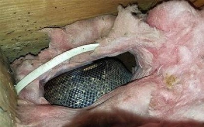 Thấy tiếng ồn trên tầng gác mái suốt nhiều năm, cặp vợ chồng gặp phải cảnh tượng đáng sợ
