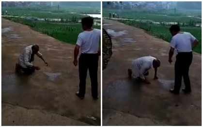 Cha già 90 tuổi quỳ rạp lạy con khiến dư luận dậy sóng