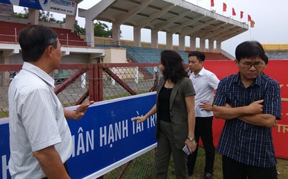 "Trâu chọi Đồ Sơn húc chết chủ do sốc tâm lý"