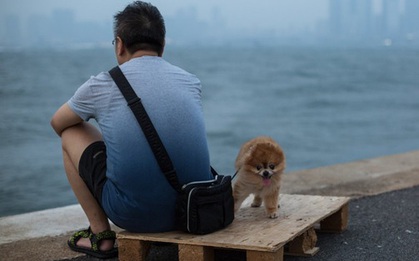 Hong Kong ngày nay: Ganh đua khốc liệt, giới trẻ "mất hứng" với việc kết hôn