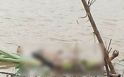 Thi thể nam thanh niên không còn nguyên vẹn trôi trên sông Hồng