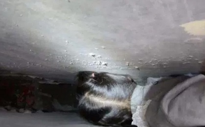 Thót tim cứu bé gái kẹt đầu giữa hai bức tường