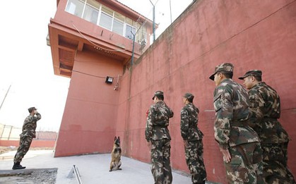 Chú chó đặc nhiệm đứng bằng hai chân trong hơn 10 giây, chào tạm biệt người huấn luyện nghỉ hưu