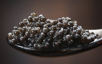 Cách thưởng thức Caviar - món ăn đắt đỏ luôn góp mặt trong các bữa tiệc của hội siêu giàu