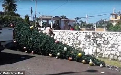 Thảm kịch mùa Giáng sinh: 5 người chết vì bị điện giật trong khi trang trí cây thông Noel ở công viên