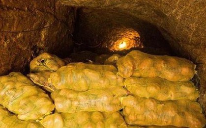 Ngồi nghỉ ở hầm khoai tây, lão nông phát hiện ra cả kho báu mà bấy lâu nay không biết