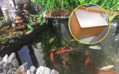 Ông bố khéo tay chế bể cá cảnh sang chảnh từ thùng xốp mua đầy ngoài chợ