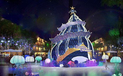Điểm nóng mùa Noel: Chiêm ngưỡng cây thông hình ốc biển lớn và độc đáo nhất Việt Nam