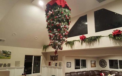 18 kiểu trang trí cây thông độc nhất vô nhị chào Noel của các thánh sáng tạo