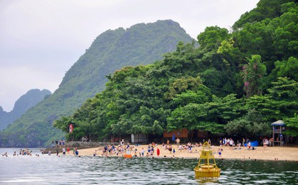 Va chạm sà lan trên vịnh Hạ Long, tàu du lịch chở 31 khách nước ngoài bị chìm