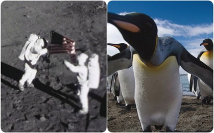 Năm 2018: đây sẽ là một năm thật đặc biệt với toàn thế giới! Lý do là...