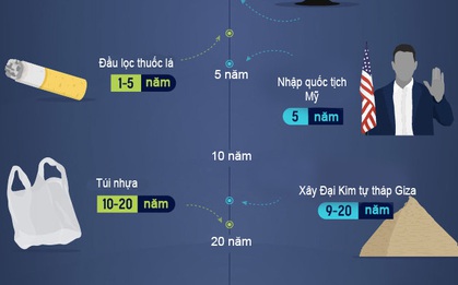 Rác thải hàng ngày của bạn mất bao lâu để phân hủy?