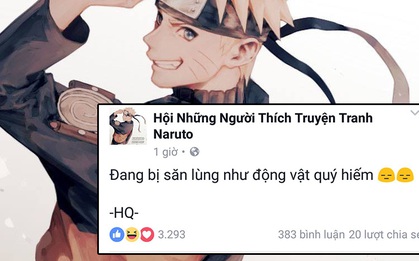 Admin "Hội Những Người Thích Truyện Tranh Naruto" đang bị fan cuồng "săn lùng" ráo riết vì trí nhớ quá khủng