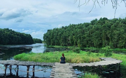 Thu sang, hãy thử "quên" lá vàng miền Bắc để về với miền Tây đón mùa nước nổi