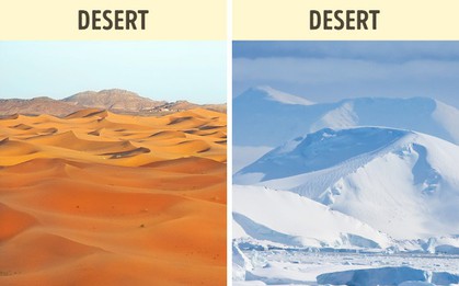 8 câu hỏi ai cũng trả lời nhanh như chớp mà sai bét: Núi cao nhất hành tinh hóa ra không phải Everest!