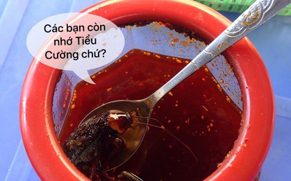 Những "vị khách" không mời mà đến chẳng ai muốn gặp khi đi ăn, bạn đã gặp lần nào chưa?