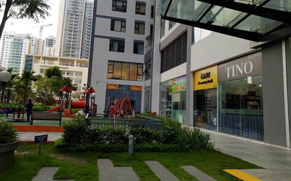 Hà Nội: Hai trẻ nhỏ mâu thuẫn, bé trai 8 tuổi bị người lớn lao vào hành hung trong khu chung cư cao cấp