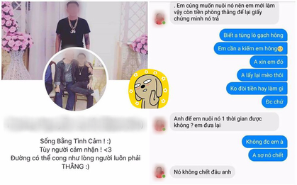 Cặp đôi vào khách sạn rồi quỵt tiền phòng, còn bế trộm luôn mèo của gia chủ với lý do “em cũng muốn nuôi”