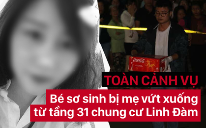 Toàn cảnh vụ án mẹ trẻ ném con từ tầng 31 xuống đất ở chung cư Linh Đàm gây chấn động dư luận thời gian qua