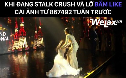Tặng bạn chùm ảnh chế mà chỉ có màn ngất xỉu ngay lúc vừa đăng quang của Tân Hoa hậu mới có thể diễn tả