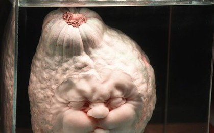 Những ý tưởng chạm khắc bí ngô đẹp độc và dị cho mùa Halloween