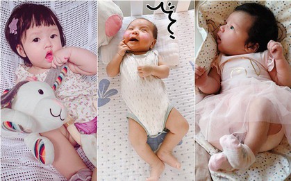 Đây là những nhóc tỳ "mới nổi" và có sức hút mạnh mẽ của showbiz Việt